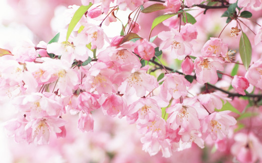 459621 (a): :1920x1200